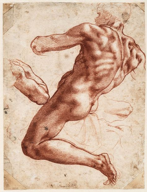 Why Did Michelangelo Use Red Chalk? | The Getty Iris Sistine Chapel Ceiling, Male Figure Drawing, Master Drawing, Human Figure Drawing, Sistine Chapel, Cleveland Museum Of Art, Figure Sketching, Miguel Angel, Anatomy Drawing