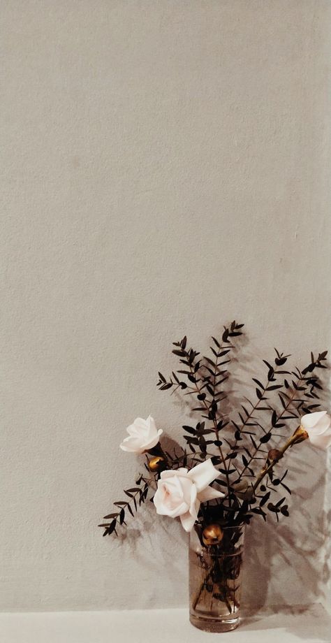 Vintage wallpaper 🌼🕊️ Classy Wallpaper Iphone Vintage, Vintage White Wallpaper, Cute Vintage Wallpaper, Vintage Lockscreen Aesthetic, Classy Wallpaper, French Wallpaper, Background Ideas, Phone Background, White Wallpaper