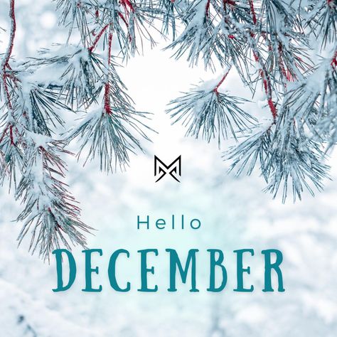 ✨ Welcoming December, a month wrapped in the warmth of joy and filled with the promise of new beginnings! As we step into this festive season, let's embrace the spirit of togetherness and gratitude. May this month bring you moments of love, laughter, and cherished memories with those dear to your heart. Here's to a December illuminated by kindness, peace, and the joy of giving. Wishing you all a magical and heartwarming month ahead! 🎄❄️ #WelcomeDecember #FestiveSeason #JoyfulMoments #SeasonOf... December Pictures, Asthetic Picture White And Black, Welcome December, Joy Of Giving, Asthetic Picture, Happy December, Hello December, Vocal Coach, The Promise