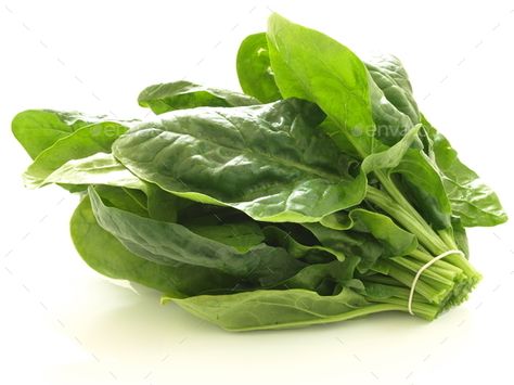 Spinach by bialasiewicz. Bunch of spinach leaves on isolated white background#Bunch, #spinach, #Spinach, #bialasiewicz School Drawing, Food Product, Fruit Seeds, Raw Vegetables, Spinach Leaves, Organic Seeds, How To Make Salad, Business Advertising, Fresh Vegetables