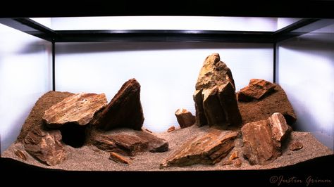 Desert Reptile Enclosure, Desert Terrarium Reptile, Desert Enclosure, Desert Aquarium, Desert Vivarium, Desert Terrarium, Leopard Gecko Habitat, Tarantula Enclosure, Snake Cages