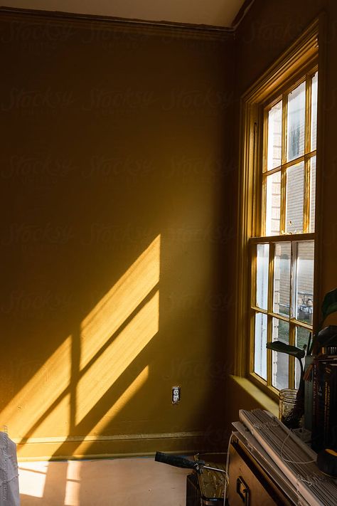 Process photo of room being painted a deep ochre yellow Ochre Wall Paint, Yellow Wall Aesthetic, Hand Photography, Ochre Yellow, Room Painting, Yellow Walls, Room Paint, Painting Supplies, White Aesthetic