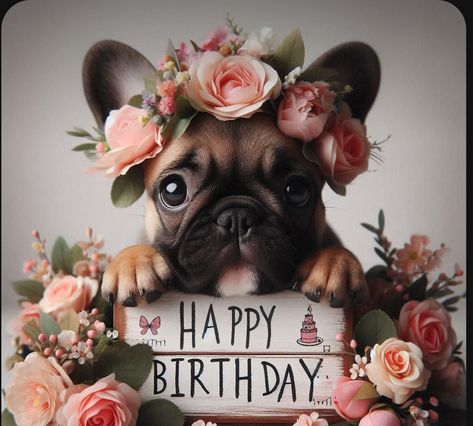 Happy Birthday Dogs Wishes, Pug Birthday Wishes, Happy Birthday Wishes With Dogs, Happy Birthday With Dogs, Happy Birthday Cute Animals, Happy Birthday French Bulldog, Happy Birthday Wishes Pics, Birthday Wishes Pics, Birthday Greetings Funny