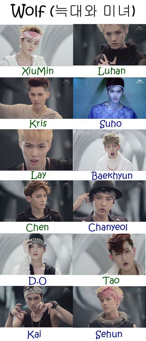 EXO – Wolf (늑대와 미녀) Exo With Names, Exo 12 Members, Exo Members Names, Exo Names, Exo Eyes, Kpop Names, Exo Group, I Can't Sleep, Exo 12