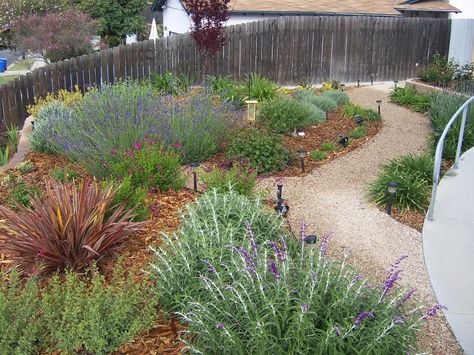 The 2 Minute Gardener: Photo - Decomposed Granite Pathway (DG) Granite Pathway, Drought Tolerant Landscape Design, Decomposed Granite Patio, Drought Resistant Landscaping, Crushed Granite, Decomposed Granite, Walkway Landscaping, Drought Tolerant Garden, Walkways Paths