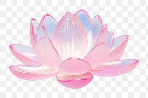 Water Lily Jewelry, Lily Jewelry, Jewelry Flower, Flower Petal, Aquatic Plants, Water Lily, Flower Petals, Lotus Flower, Lotus