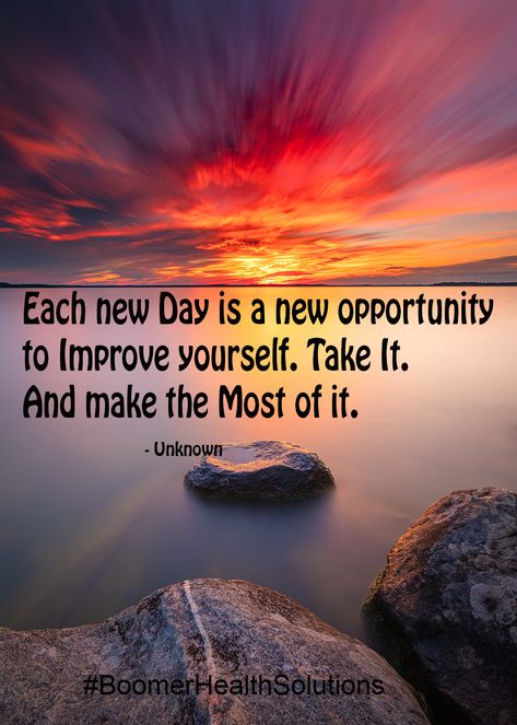 Each new Day is a new opportunity to Improve yourself. Take It. And make the Most of it. Each Day Quotes, Elle Woods Quotes, Blonde Quotes, Focusing On Yourself Quotes, Protection Quotes, Hd Wallpaper Quotes, Opportunity Quotes, Christmas Vacation Quotes, Long Distance Love Quotes