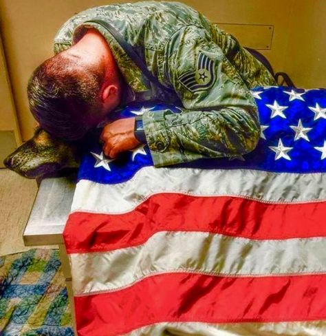 Air Force Sergeant mourns his Soldier-Companion (military dog). Kyle Smith, Military Service Dogs, Dog Soldiers, Dog Hero, Military Working Dogs, Military Dogs, Police Dogs, Military Heroes, American Soldiers