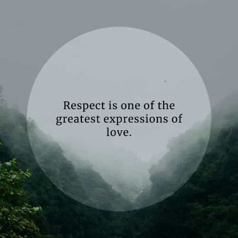 Self Respect Quotes Women, Respect Yourself Quotes, Respect Your Wife, Strong Sayings, Respect Meaning, Respect Parents, Promise Quotes, Speech Marks, Self Respect Quotes