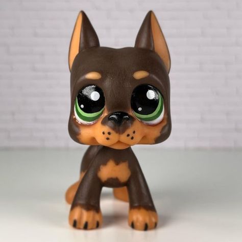 Lps Customs Great Dane, Lps Great Dane Custom, Lps Customs Ideas Dog, Lps Customs Ideas, Lps Costumes, Lps Great Dane, Akordy Na Ukulele, Lps Photography, Lps Drawings