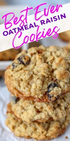 Soft Oatmeal Raisin Cookies, Best Oatmeal Raisin Cookies, Oatmeal Dessert, The Best Oatmeal, Best Oatmeal Cookies, Cookie Recipes Oatmeal Raisin, Oatmeal Raisin Cookies Chewy, Dessert Cookies, Medicine Tips