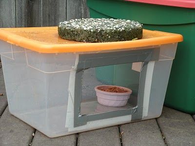 The Very Best Cats: Feeding Outdoor Cats in the Winter - Food Stations... Cat Food Station, Dog Food Station, Outdoor Cat Shelter, Feral Cat Shelter, Cat Feeding Station, Feral Cat House, Outdoor Cat Enclosure, Outdoor Cat House, Outdoor Cat