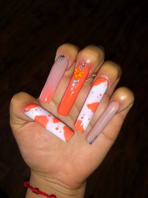 Orange Cow Print Nails, Orange Nail Set, Orange Cow Print, Nailart Aesthetic, Cow Print Nails, Cute Cow Print, Orange Nail, Cow Nails, Long Nail