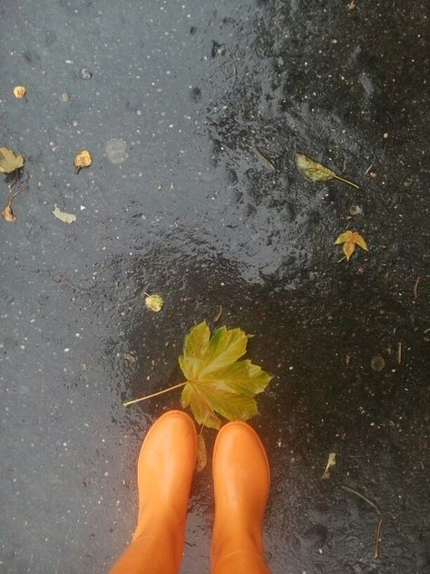 Orange rain boots Yellow Rain Boots Aesthetic, Rain Boots Aesthetic, Yellow Rain Boots, Boots Aesthetic, Fake Shoes, Rainy Street, Yellow Boots, Rain Boots, Orange