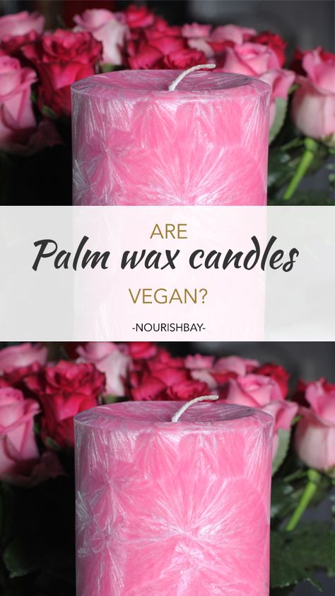 Wax Reading Candle, Candle Wax Bulk, Raw Candle Wax, Candle Making Beeswax Coconut Oil, Palm Wax Candles, Eco Candles, Paraffin Wax Candles, Candle Fragrance Oil, Diy Fabric Jewellery