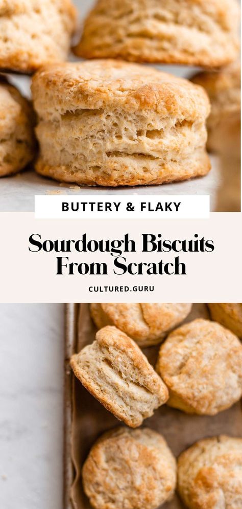 Buttermilk Sourdough, Flaky Buttermilk Biscuits, Sourdough Starter Discard, Sourdough Biscuits, Biscuits From Scratch, Nourishing Food, Savoury Biscuits, Artisan Bread Recipes, Breakfast Meals