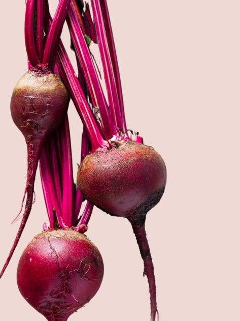 Beet Aesthetic, Beetroot Aesthetic, Beets Photography, Veg Drawing, Healthy Food Design, Healthiest Vegetables, Beet Juice Recipe, Beetroot Benefits, Healthy Food Photography