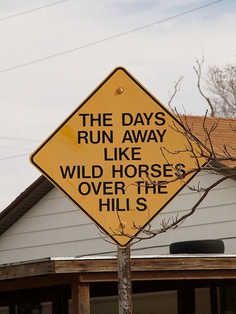 Amarillo Texas Stanley Marsh 3 Dynamite Museum plasters traffic art signs all over the city Country Vibes Aesthetic, Western Aesthetic Wallpaper, Western Quotes, Cowboy Quotes, Country Backgrounds, Country Vibes, Western Photo, Amarillo Texas, Western Photography