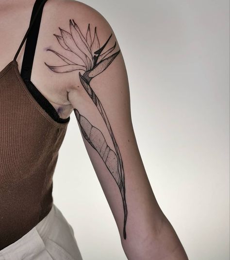 Heliconia Tattoo, Tropic Tattoo, Ohia Lehua Tattoo, Banana Tree Tattoo, Strelitzia Tattoo, Tropical Tattoos For Women, Tropical Flowers Tattoo, Tropical Leaves Tattoo, Tropisches Tattoo