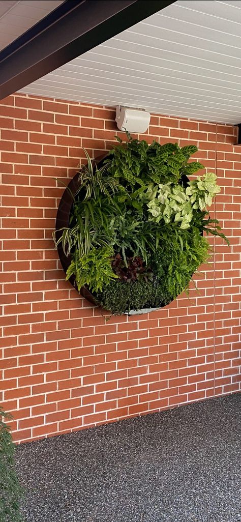 Circle gardens | Vertical Gardens Australia Circular Garden, Gardens Australia, Decking Area, Vertical Gardens, Wall Garden, Living Wall, Wall Planter, Tropical Garden, Green Wall