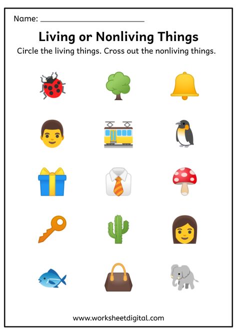 Living And Non Living Things Worksheet Kindergarten 059 Living Things Worksheet Kindergarten, Living Non Living Worksheet, Non Living Things, Living And Nonliving Things, States Of Matter Worksheet, Living And Nonliving, School Kids Activities, Matter Worksheets, English Worksheets For Kindergarten