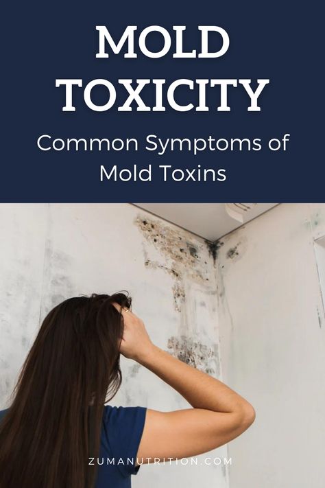 While not all molds are harmful, certain types of mold can release toxins that can have adverse effects on human health. Mold exposure can lead to various symptoms, collectively known as "mold toxin symptoms" or "mold toxicity symptoms." Symptoms Of Mold Exposure, Mold Sickness Symptoms, Mold Toxicity Symptoms, Toxic Mold Symptoms, Mold Toxicity, Mold Exposure, Toxic Mold, Types Of Mold, Mold And Mildew