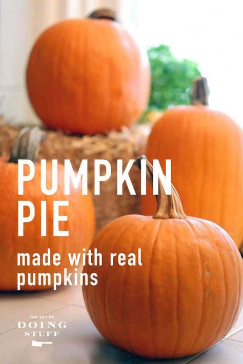 Punkin Pie Recipe, Fresh Pumpkin Pie Recipe, Fresh Pumpkin Recipes, Frozen Pumpkin Pie, Pumpkin Pie From Scratch, Fresh Pumpkin Pie, Frozen Pumpkin, Best Pumpkin Pie, Cooking Pumpkin