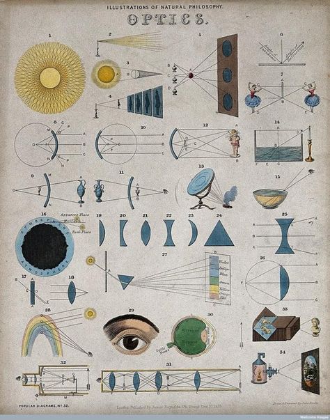 Optics - Mid 1800s infographic illustrated by John Philipps Emslie Science Diagrams, Science Chart, Optical Phenomena, Natural Philosophy, Wellcome Collection, Science Illustration, Illustration Photo, Scientific Illustration, Science Art