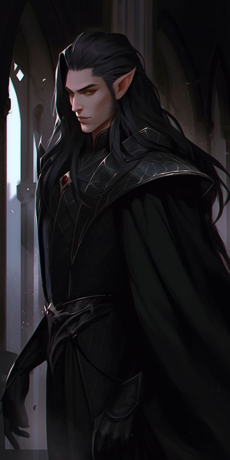 Long Hair Elf Male, Black Haired Fae Male, Male Elf Black Hair, Evil King Art, Black Haired Elf Male, Elf King Fantasy Art, Dhampir Male Art, Dark Fae Male, Dark Haired Elf