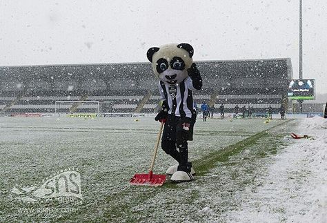 St Mirren, Football Stuff, Football, Quick Saves, American Football