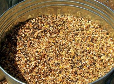 Homemade Goat Feed Recipe Fodder For Goats, Diy Goat Feed Recipe, Grain Feeder For Goats, Diy Pig Feed Recipe, Goat Treats Recipes Homemade, Goat Grain Feeder Ideas, Treats For Goats, Homemade Goat Feed, Raising Meat Goats