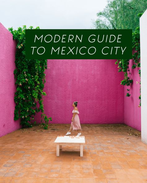 Mexico City Travel Guide: What To Eat, Do, and See | Cultural Chromatics Mexico City Travel Guide, Vacation Meme, Mexico City Travel, Necessary Evil, Mexico Beaches, Explore Mexico, Vacation Humor, Travel Mexico, Mexico Culture