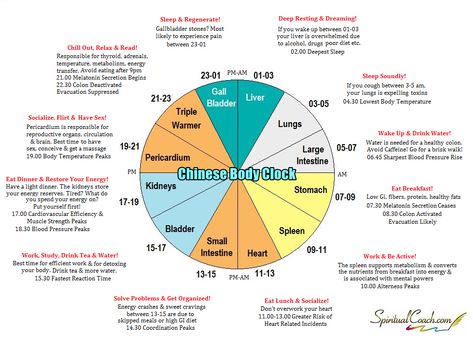 Tcm Clock, Meridian Clock, Chinese Body Clock, Tcm Traditional Chinese Medicine, Pain Chart, Body Clock, 5 Elements, Traditional Chinese Medicine, Reflexology