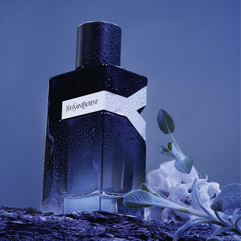 Finding the perfect scent to seamlessly transition from day to night can be a challenge. Fortunately, we've curated a list of the best long-lasting perfumes for men that will leave you smelling fantastic no matter the occasion. Ysl Y, Seductive Fragrance, Yves Saint Laurent Y, Long Lasting Perfume, Men's Fragrance, Ysl Beauty, Woody Fragrance, Fragrance Gift, Floral Notes