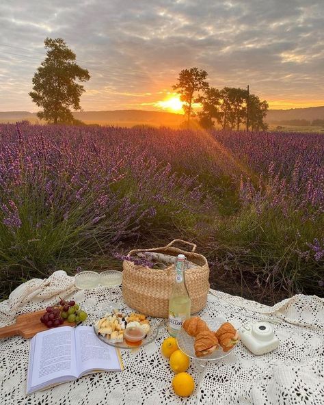 Dream Dates, Picnic Inspiration, Spring Inspo, Picnic Date, Cottage Core Aesthetic, Spring Aesthetic, Spring Vibes, Jolie Photo, Summer Picnic