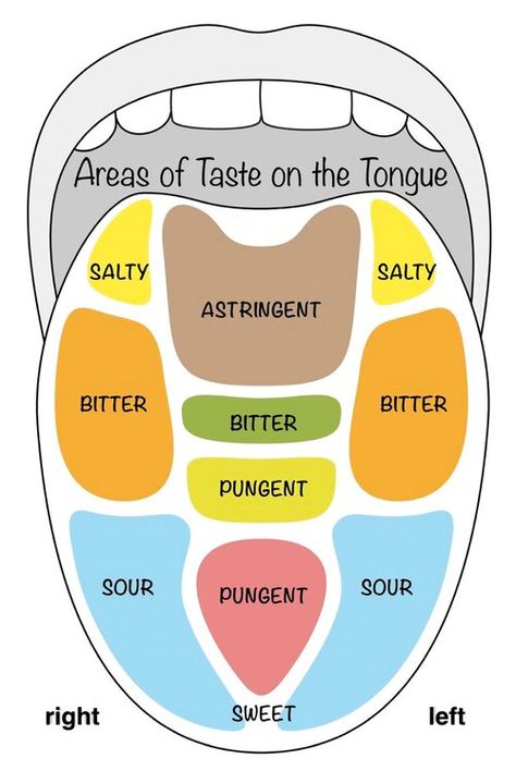 Human Tongue, Basic Anatomy And Physiology, Back Stretches For Pain, Tongue Scraper, Tongue Health, Nail Care Tips, The Tongue, Traditional Chinese Medicine, Reflexology