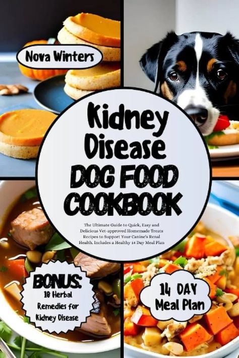 How to Make Kidney Care Dog Food: Easy & Nutritious | by Jean P. Ames | Aug, 2024 | Medium Renal Diet Dog Food Recipes, Kidney Dog Food Recipes, Homemade Dog Food Kidney Diet, Homemade Dog Food For Kidney Problems, Dog Food Recipes For Kidney Problems, Dog Kidney Diet Recipe, Homemade Kidney Diet For Dogs, Homemade Kidney Dog Treats, Dog Food For Kidney Problems