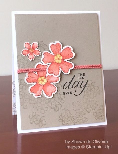 Birthday Blossoms, Petite Petals, Stampin' Up!, by Shawn de Oliveira Stampin Up Birthday, Stampin Up Project, Stampin Up Catalog, Diy Valentines Crafts, Birthday Cards Diy, Stamping Up Cards, Card Layout, Watercolor Cards, Creative Cards