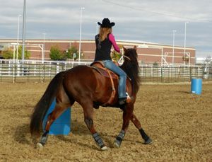 Barrel Racing Drills, Barrel Racing Exercises, Barrel Racing Training, Barrel Racing Tips, Horse Training Exercises, Horse Exercises, Horse Riding Tips, Barrel Racing Horses, Rodeo Horses