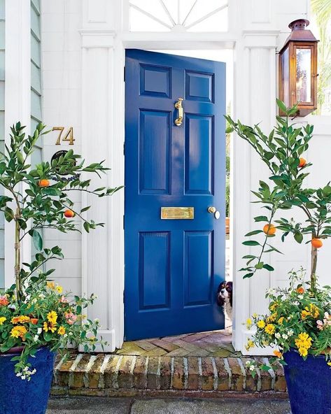 61 Best Front Door Colors for Your Home Royal Blue Front Door, Blue Doors Front Entrance, Front Door Color Ideas, Bold Front Door Colors, House Doors Colors, White Beach Houses, Door Color Ideas, Paint Your Front Door, Exterior Front Door Colors