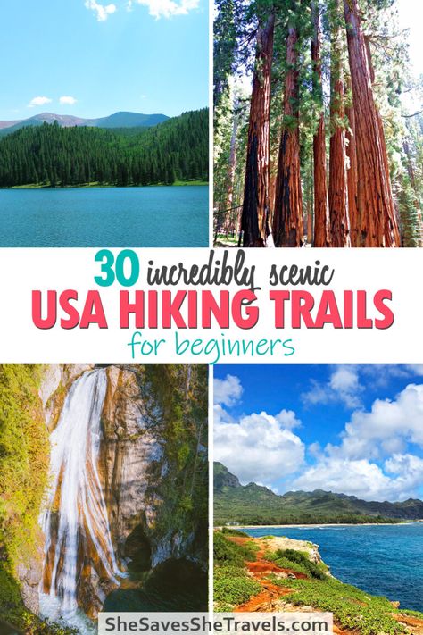 30 Hiking Trails for Beginners: Top USA Hikes that are Actually Easy Hiking Usa, Usa Hiking, Beginner Hiking, Hot Springs Arkansas, Hiking Photography, Hiking Spots, National Park Road Trip, Hiking Destinations, Usa Travel Guide