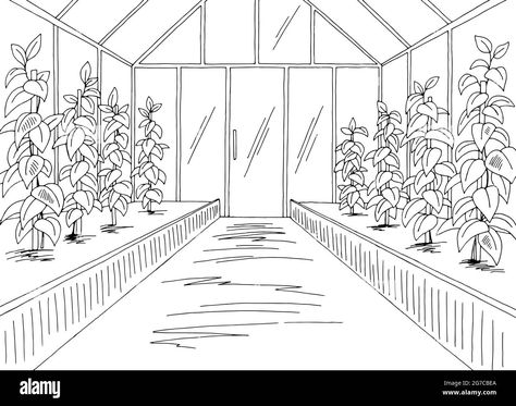 Download this stock vector: Greenhouse interior graphic black white sketch illustration vector - 2G7CBEA from Alamy's library of millions of high resolution stock photos, illustrations and vectors. Greenhouse Sketch Architecture, Green House Drawing Sketch, Green House Sketch, Greenhouse Doodle, Green House Drawing, Greenhouse Sketch, Greenhouse Drawing, Greenhouse Wallpaper, Greenhouse Illustration