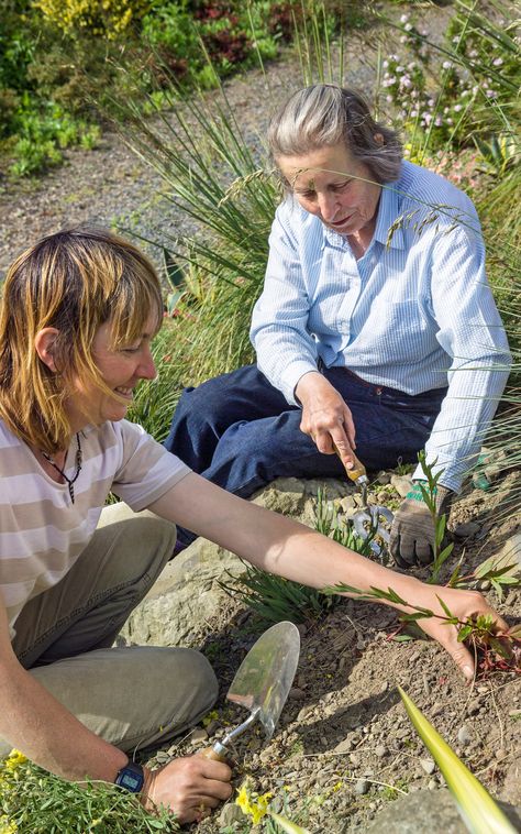 How to plant a steep, sunny bank Steep Hillside Landscaping, Steep Gardens, Hillside Landscaping, Sloped Garden, Ann Marie, Cool Plants, Weeding, Front Yard Landscaping, Top Tips