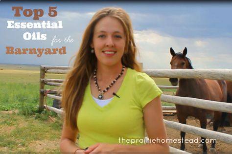 There are approximately a billion different ways that I use my collection of essential oils around my home and for my family, BUT, I also love using them outside as well. I’m excited to chat with you via video today and share the TOP FIVE oils I use the most around my barnyard and homestead. … Jill Winger Prairie Homestead, Young Living Pets, Jill Winger, Diy Spa Gifts, The Prairie Homestead, Prairie Homestead, Top Essential Oils, List Of Essential Oils, Yl Oils