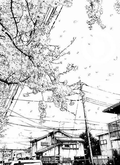 Manga Background, Sakura Tree, 흑백 그림, Background Drawing, Architectural Sketch, Tree Drawing, Backdrops Backgrounds, Urban Sketching, Architecture Sketch