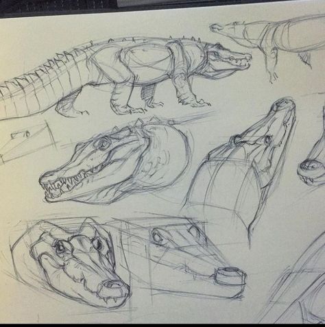 Crocodile Sketch, Jurassic World Poster, Bed Drawing, Pencil Drawing Ideas, Dinosaur Sketch, Dinosaur Drawing, Animal Drawings Sketches, Dinosaur Illustration, Animal Study