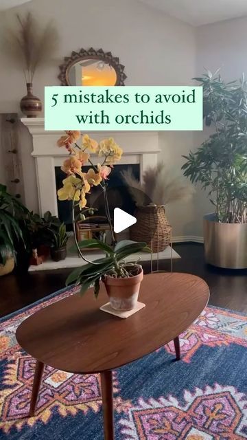 80K views · 3.6K likes | Gardener_Community on Instagram: "5 mistakes to avoid with orchids  #orchid #orchids #flowers #anggrek #orchidlover #phalaenopsis #orchidsofinstagram #orchidee #orquideas #flower #nature #dendrobium #orqu #orquidea #pecintaanggrek #anggrekindonesia #cattleya #orchidflower #anggrekbulan #orchidlovers #plants #jualanggrek #orchidea #jualanggrekmurah #orchidworld #orchidspecies #instaorchid #pecintaanggrekindonesia #flores #orchidaceae"