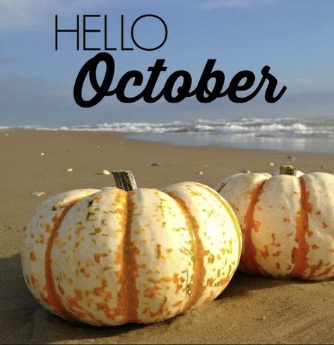 October Festivals 2018 in Boca Raton and South Florida! Hello October Images, Beach Memes, October Festival, Welcome October, Happy National Day, Fall Festivals, Boca Raton Florida, Hello October, Harvest Thanksgiving