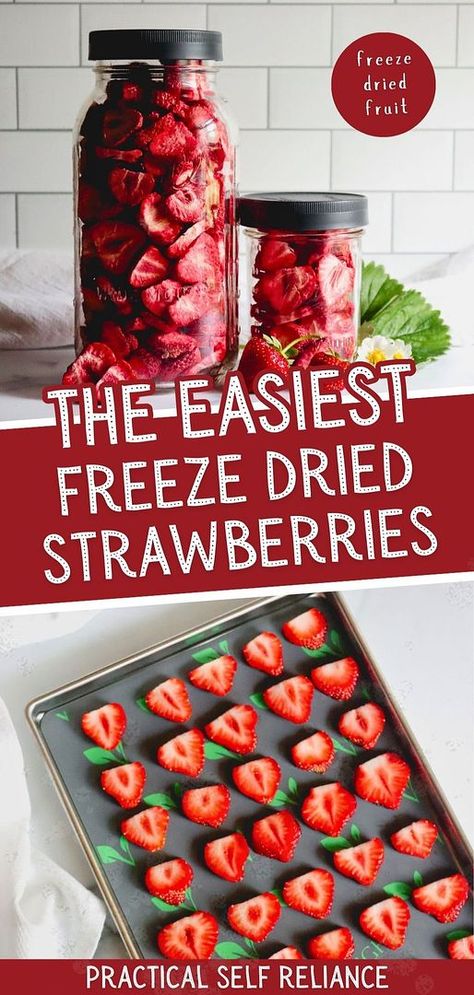 Freeze-dried strawberries are intensely delicious and a perfect snack or addition to cereals, yogurt, or baking. While store-bought can be pricey, making them at home is simple and cost-effective. Learn how to freeze-dry strawberries using your Harvest Right freeze dryer for a concentrated burst of strawberry flavor. Find more preserving food recipes, preserving strawberries, self-sufficient living, and Freeze Dried Fruit at practicalselfreliance.com. How To Make Freeze Dried Strawberries, Diy Freeze Dried Fruit, Freeze Dry Strawberries, Freeze Dry Fruit, Preserving Strawberries, Dry Strawberries, Canning Fruit Recipes, Preppers Food Storage, Freeze Dried Food Storage