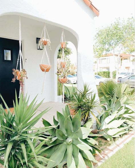 Pure Salt Interiors, Spanish Bungalow, Small Front Yard Landscaping, Small Front Yard, Sunset Magazine, Easy Landscaping, Artificial Succulents, Plant Lighting, Propagating Plants